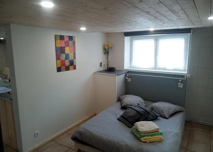 Vic Apartament Vic-sur-Cère